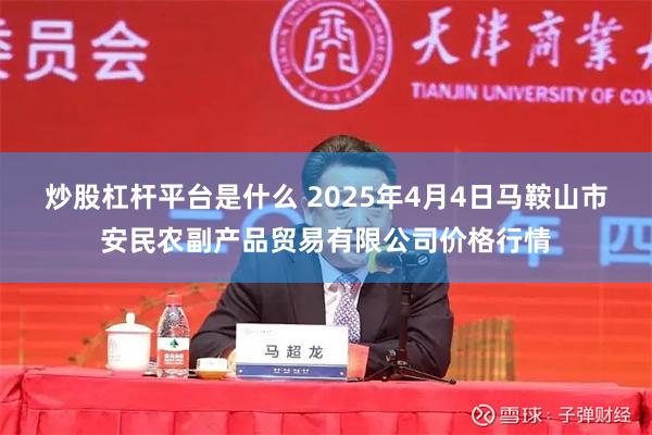 炒股杠杆平台是什么 2025年4月4日马鞍山市安民农副产品贸易有限公司价格行情