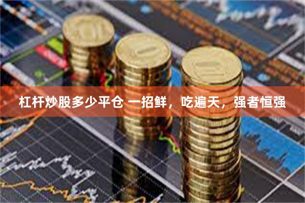 杠杆炒股多少平仓 一招鲜，吃遍天，强者恒强