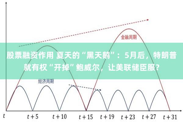股票融资作用 夏天的“黑天鹅”：5月后，特朗普就有权“开掉”鲍威尔，让美联储臣服？