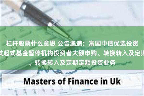 杠杆股票什么意思 公告速递：富国中债优选投资级信用债指数发起式基金暂停机构投资者大额申购、转换转入及定期定额投资业务
