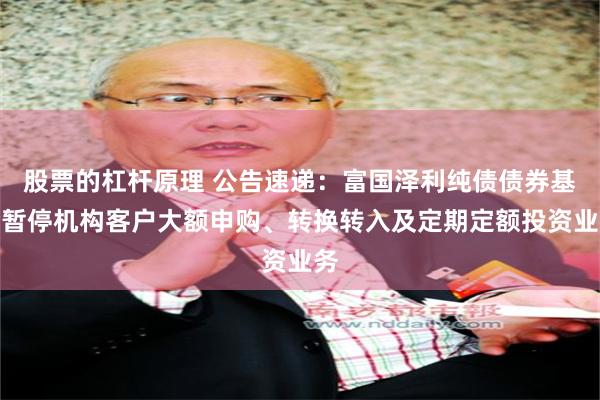 股票的杠杆原理 公告速递：富国泽利纯债债券基金暂停机构客户大额申购、转换转入及定期定额投资业务