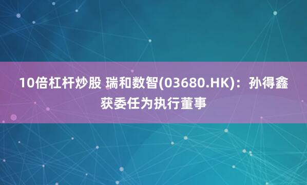 10倍杠杆炒股 瑞和数智(03680.HK)：孙得鑫获委任为执行董事