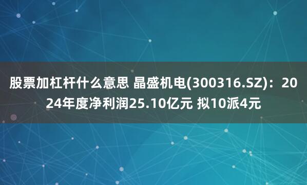 股票加杠杆什么意思 晶盛机电(300316.SZ)：2024年度净利润25.10亿元 拟10派4元