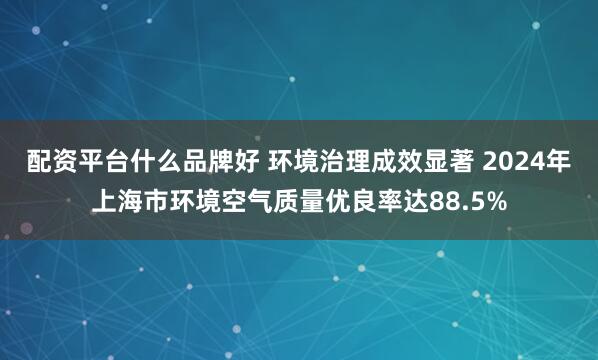 配资平台什么品牌好 环境治理成效显著 2024年上海市环境空气质量优良率达88.5%